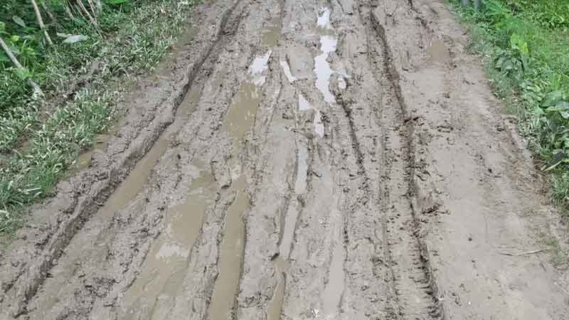 কচুয়ায় ডুুমুরিয়া ও দরিয়া হয়াতপুর গ্রামের রাস্তার বেহাল দশা