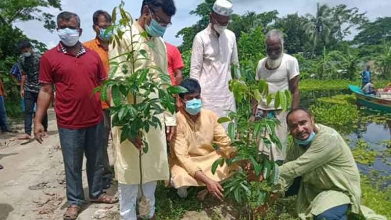 মতলবে কিশোর ব্রাদার্স ক্লাবের বৃক্ষরোপণ কর্মসূচীর উদ্ধোধন