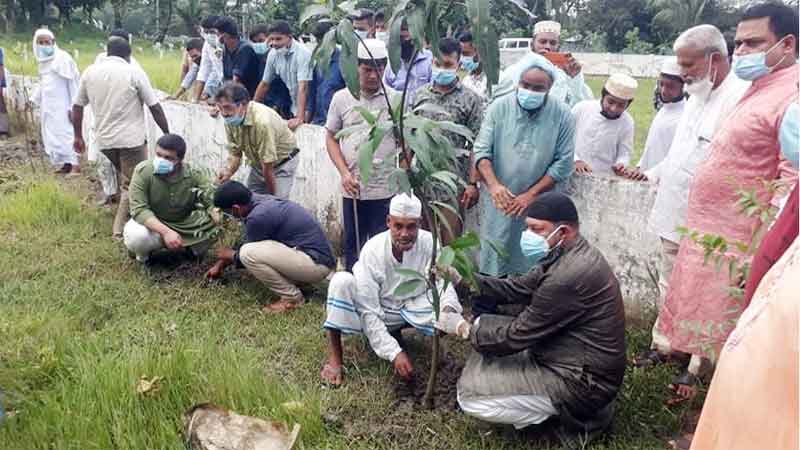 মতলবে বৃক্ষরোপণে যুবলীগ সাধারণ সম্পাদক নিখিল
