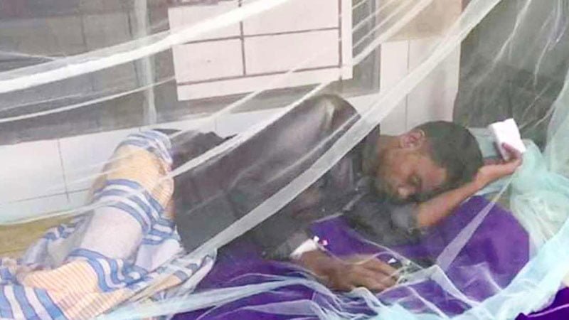 চাঁদপুরে তিন ডেঙ্গু রোগী সনাক্ত
