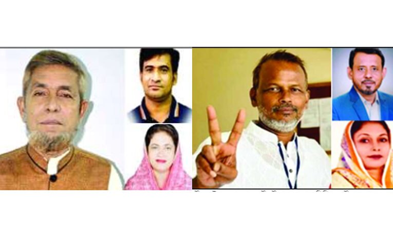 মতলব উত্তর উপজেলায় মোহাম্মদ মানিক, দক্ষিণে সিরাজুল মোস্তফা বিজয়ী