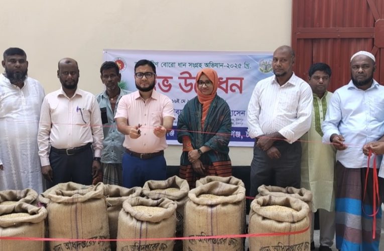 হাজীগঞ্জে বোরো ধান সংগ্রহের উদ্বোধন