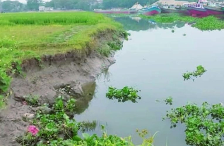 হাজীগঞ্জে অতিরিক্ত নদী খননে ভাঙনের মুখে ডাকাতিয়াপাড়, ক্ষতিগ্রস্ত কৃষিজমি