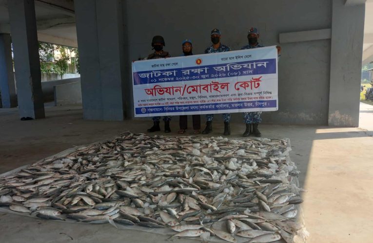 মতলব উত্তরে যাত্রীবাহী গাড়ি থেকে ৬০০কেজি  জাটকা জব্দ