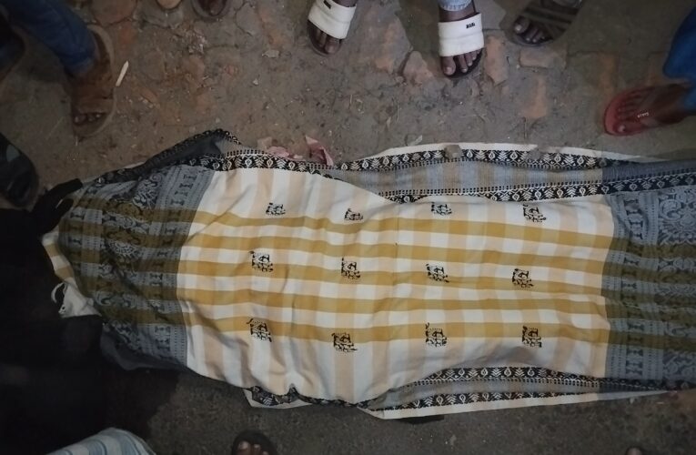 মহামায়ায় পিক-আপের নিচে পড়ে গৃহবধূ আয়েশার মৃত্যু