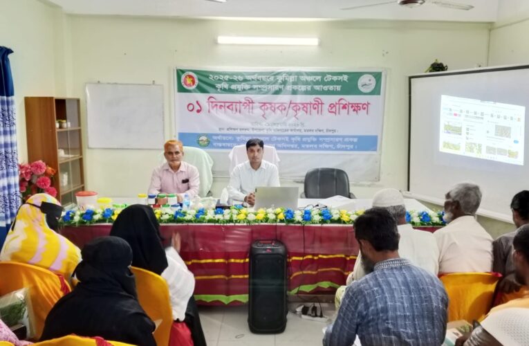 মতলব দক্ষিনে কৃষক কৃষাণীদের দক্ষতা উন্নয়ন শীর্ষক দিনব্যাপী প্রশিক্ষণ অনুষ্ঠিত 