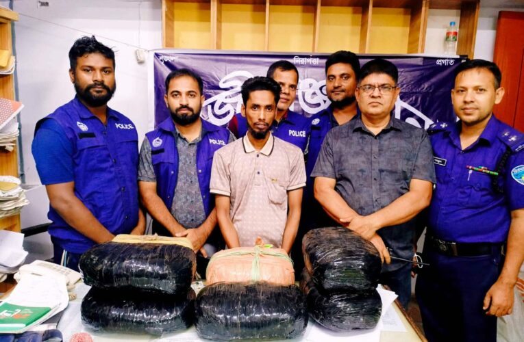 হাজীগঞ্জে পুলিশের অভিযানে ১৪ কেজি গাঁজাসহ মাদক ব্যবসায়ী আটক