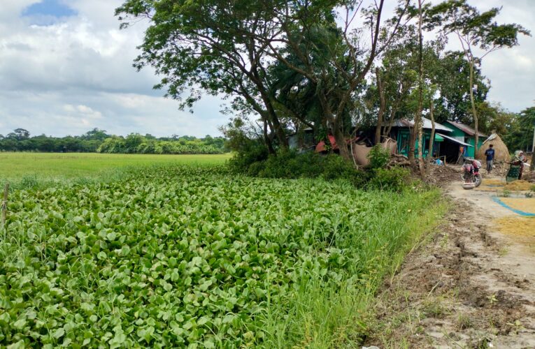 কচুয়ায় সরকারি খাস জায়গায় দখল করে স্থায়ীভাবে বাড়ী নির্মাণের অভিযোগ