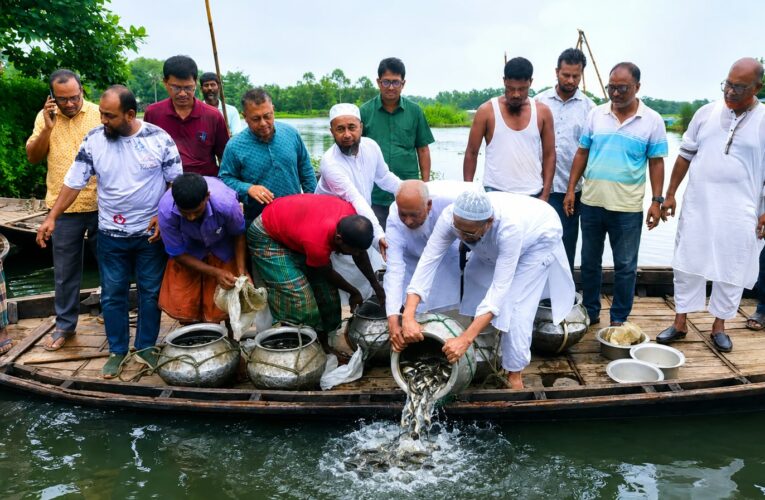 রোটারি ক্লাব অব হাজীগঞ্জের উদ্যোগে ডাকাতিয়া নদীতে মৎস্য অবমুক্তকরণ কর্মসূচি-২০২৬ অনুষ্ঠিত